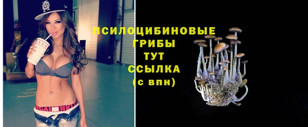 кристаллы Елизово