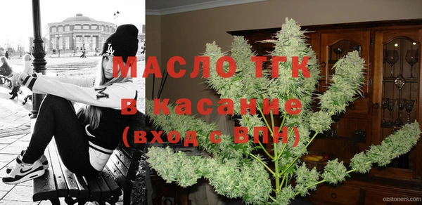 меф Ельня