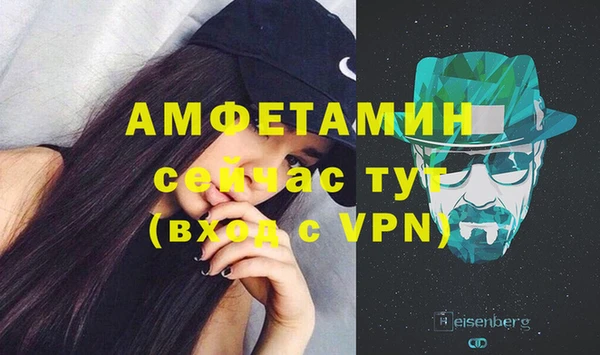 меф Ельня
