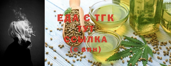 меф Ельня