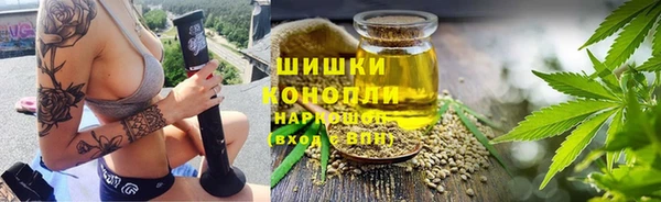 дмт Елабуга