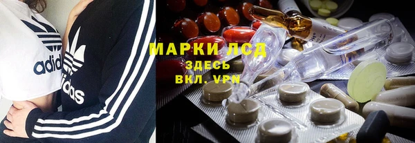меф Ельня