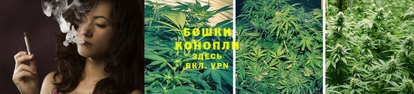 меф Ельня