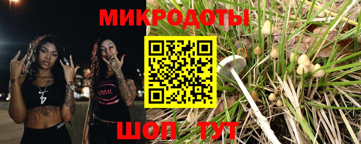 Псилоцибиновые грибы Magic Shrooms  продажа наркотиков  Тосно  Вход с VPN 