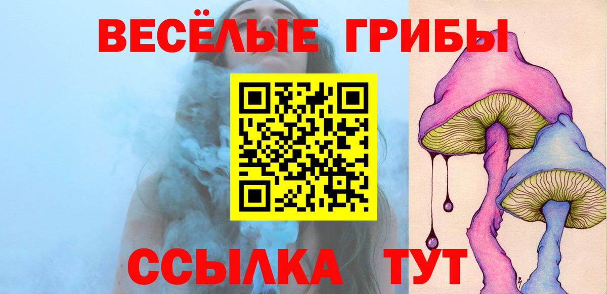 Псилоцибиновые грибы Cubensis Тосно